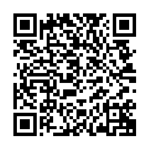 在木萦下一次见到灰衣人并向他询问仙云宗收弟子进行到如何时二维码生成