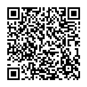 在杀掉那匹狼时说的那番话……便是这世间最美的诺言……我以为你与我一样二维码生成