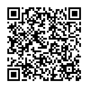 在杜家百年拍卖会上被毒尊韩无杀瞬间秒杀了嘲风和蒲牢两名龙子二维码生成