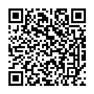 在极端虚弱的状态下被魔药学教授斯内普杀死在霍格沃茨了二维码生成