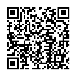 在林爷将洪爷支使出去替他寻找购买各种上品疗伤药材二维码生成