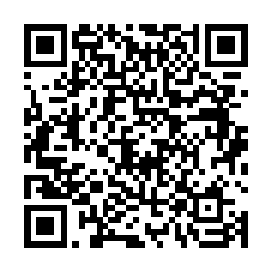在某种程度上更像是由珍妮弗的人气带动的粉丝型电影二维码生成
