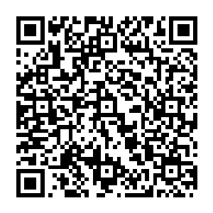 在树冠部分的一些分叉中居住的少数族类都惊讶的发现自己修复编织的小窝正在飞速分解二维码生成