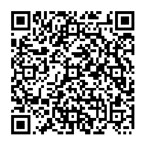 在桐花镇通往县城的公路边遇到了早已在这里等候的桐花镇党委副书记张磊和赵留财二维码生成