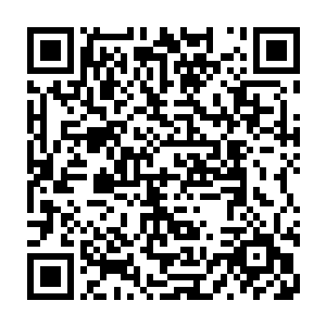在梅里万――塞斯内特集团的合作方式中他只是一个微不足道的供货商而已二维码生成