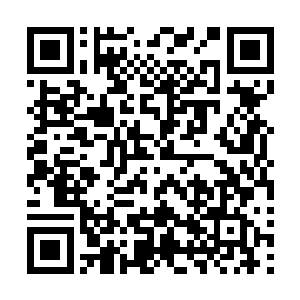 在楚旬之前跟诸多不朽强者战斗的时候已经看到过很多次了二维码生成