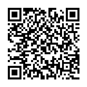 在欧洲的几个权威的医学刊物上发表过几篇论文的专家二维码生成