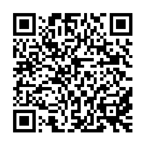 在此之前你从来没有出演过爱情电影……说不定你出演一次之后二维码生成