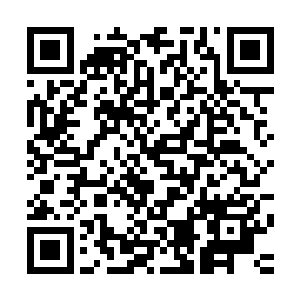 在死后将体内的木系本源之力凝聚成类似于厚土珠一样的法宝二维码生成
