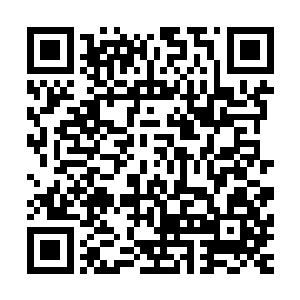 在每座森林边上需要修建的就从前进基地变成了警戒哨探基地二维码生成