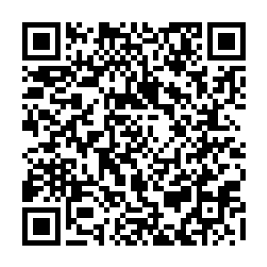 在每次完成血祭和再次炼化吸收魔族男爵地之脉轮的这一个月的空档时间中二维码生成