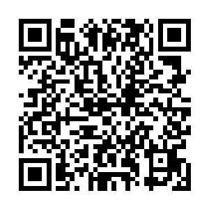 在没有任何策划的情况下只身一人前往了火狼帮讨要说法二维码生成