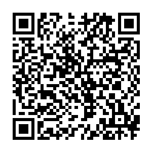在沿着中路突进的那支队伍前面安排了整整五排巨盾士加上长枪兵的组合二维码生成