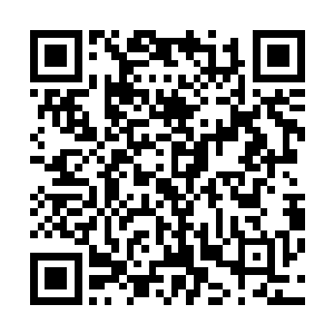 在注意力都在自己查看记忆的流墨墨和雪如楼没注意到的是二维码生成