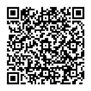 在流墨墨本尊旁的紫涟漪挂着苦瓜脸仍旧在努力思索着自己刚才为毛会疯了一样作死二维码生成