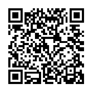 在海面上被流墨墨生生塑出一片覆满海底驳杂海生植物的平台二维码生成