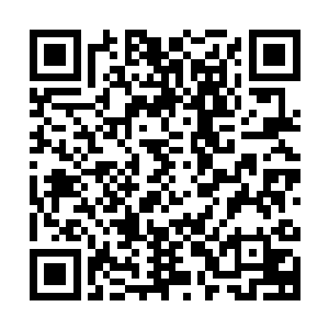在消磨了将近一个月后才终于开辟出一条早已脱离原计划的直线二维码生成