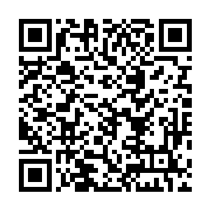 在溶洞里仔细搜索……到处都可以看到罡雷符留下的印记二维码生成