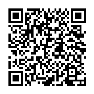 在演唱会现场支持荣耀至死是表达他们内心狂热的方式之一二维码生成