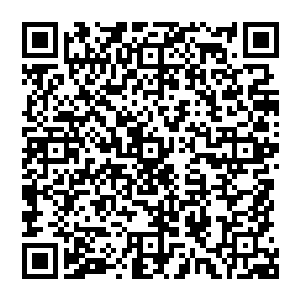 在火神峰的弟子心中他们认为玄学界人听到这话会一个个变得气愤可却又只能憋着的痛苦模样二维码生成