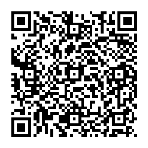 在灵界汇聚的光幕当中　三千天骄好似稻子一般　只是第一波冲击便齐刷刷的倒下一排二维码生成