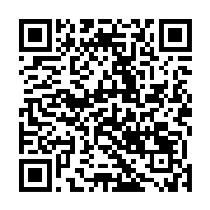 在爷爷示意她与墨家下任家主联姻的时候她是无比庆幸的二维码生成