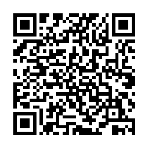 在王振科将最后一搏碎石和枯叶的进攻抵挡下来之时二维码生成