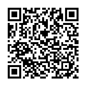 在王苏晴大腿内侧被毒蛇咬伤的位置划出了一个十字伤口二维码生成