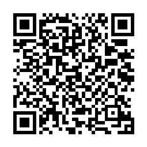 在用入的时候才用蒋方震和蔡锷这样的军队国家化的倡导者二维码生成