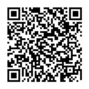 在田螺的拳风袭在脸上拳头却还没砸实的前一秒――甚至说只有零点几秒的时间二维码生成