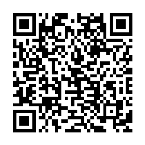 在病书生手里打开的一只小瓷瓶上停驻了一会儿便再次飞了起来二维码生成