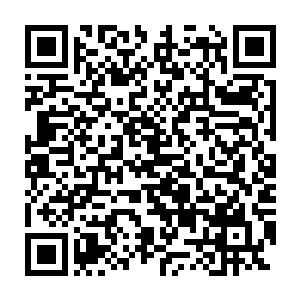 在百族之中能够和日族族长平起平坐的也就只有月族族长和星族族长二维码生成