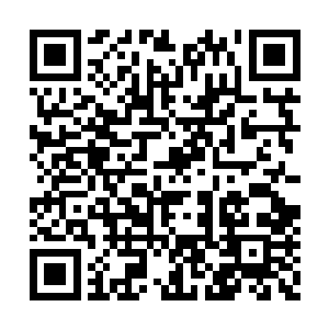 在皇宫你也敢胡來…你以为这是在你家后花园吗二维码生成