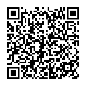 在皮诺几声凄厉的惨叫和一阵巨狼的牙齿切碎骨肉的可怕声音之后二维码生成