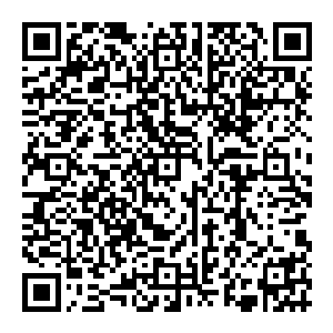 在看到那瞬间化成银色流星雨极速拉短距离的飞碟群身后带出蔓延的无数在金色宇宙中异常显眼的无数黑色裂缝的时候二维码生成