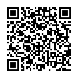 在看着他总是不经意注意着一直冷漠脸安静在一旁的师丝桐后二维码生成