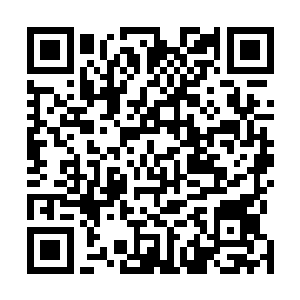 在看着流墨墨迅速走下出口和那还缭绕在自己身周的神识二维码生成