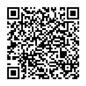 在瞅着那还没有他们小腿高的两腿小冰块站定后就没有了任何反应后二维码生成