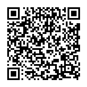在石城那样的三级城市杨风在天下第一行的拍卖会上都是有收获的二维码生成