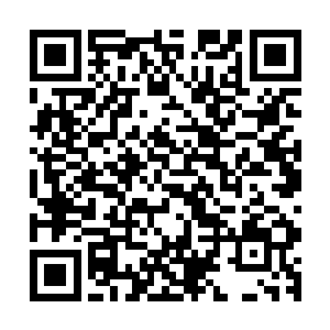 在神界其实很多人都在设想如果琴帝和歌皇合作会是什么场景二维码生成