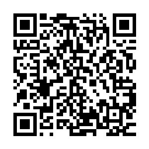 在秦宇房间内的三个民警也在一分钟后接到了他们所长的电话二维码生成
