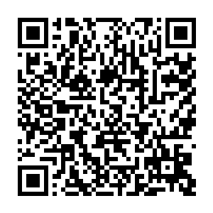 在秦宇说出了只诛杀和异界有所联系的地仙之后他们便是在一旁安静的看戏了二维码生成