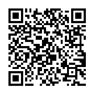 在秦方完全栽倒在地上之前将秦方的身子堪堪稳住了二维码生成