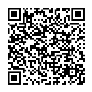 在给我们三天时间就可以将整个望仙城的街道和桥梁等的仙阵和符纹布设完毕二维码生成