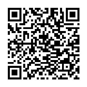 在美丽的花海中他们之间的温暖几乎可以透过画作延伸出来二维码生成