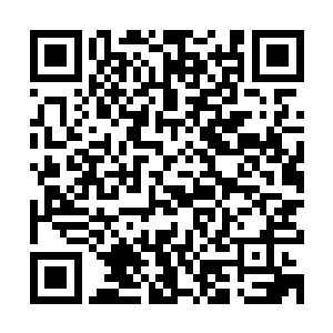 在聂离的衣袖之中修炼天道之力速度比在外面修炼快了数倍不止二维码生成