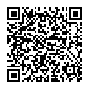 在自身体表制造类似光学迷彩的效果融入环境……它是彻彻底底的透明二维码生成