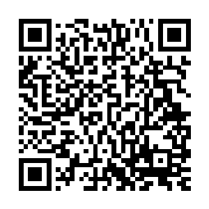 在节目上发生的一切都是演技――哪怕实际情况根本就是真实的二维码生成