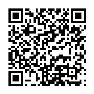 在获得地球血神教少主记忆和李家少年李晨记忆的同时二维码生成