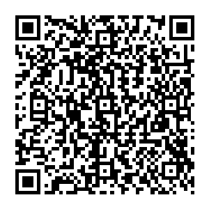 在获得多白金就意味着在音乐圈赢得了一席之地――至少也是拥有了一张代表作――的音乐领域二维码生成